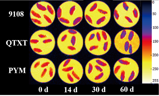 “开云足球体育_开云足球(中国)杯”江南大学优秀案例解析|不同冷冻储藏期速冻米饭水分分布变化规律探究